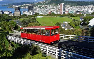 Oak Tree Immigration New Zealand View