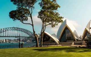 Oak Tree Immigration