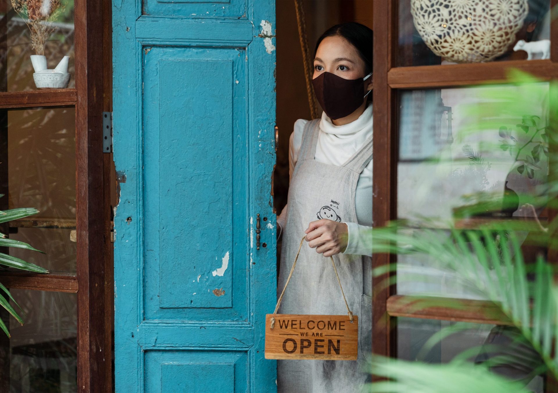 Oak-tree-in-article-australia-open