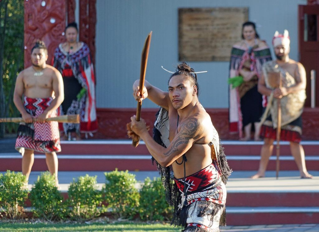 maori_oak_tree_immigration